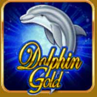 Dolphin Gold H5